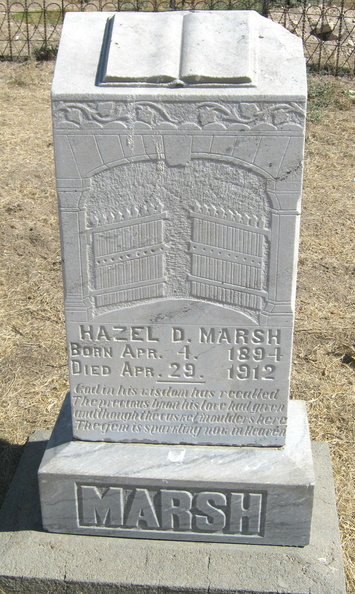 Marsh HazelD