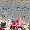 Olson IvanL