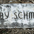 Schmidt, baby