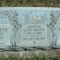 David, Sadie E. "Birdie" | Ware, Lloyd Martyn | David, Emerson Lloyd