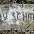 Schmidt, baby