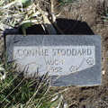Stoddard, Connie