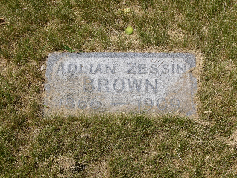 Zessin Brown Adlian