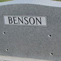 Benson Plot