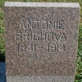 Brichova Antonie