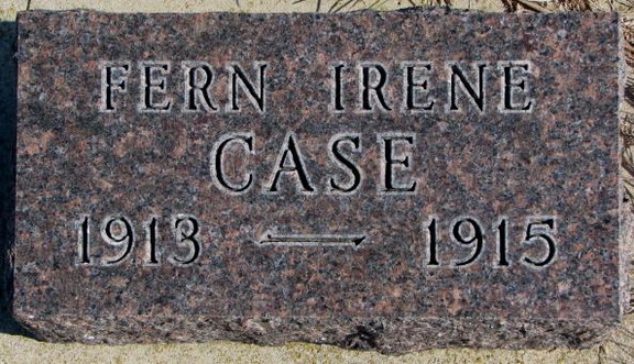 Case Fern