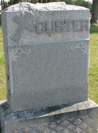 Custer Plot