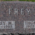 Frey Daisy &amp; Thomas