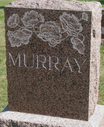 Murray Plot