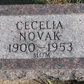 Novak Cecelia