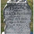 Peterson Flavia