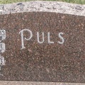 Puls Plot
