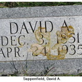 Sappenfield David