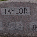 Taylor Fern &amp; Ernest