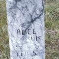 Beckius Alice