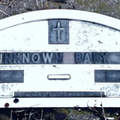Unknown baby1