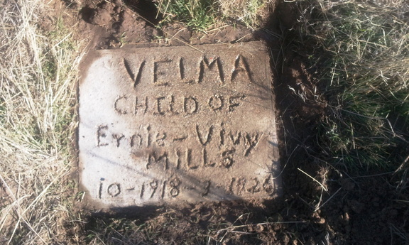 Mills Velma
