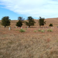 Dry Valley Church cemetery