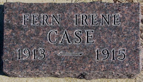 Case Fern.JPG