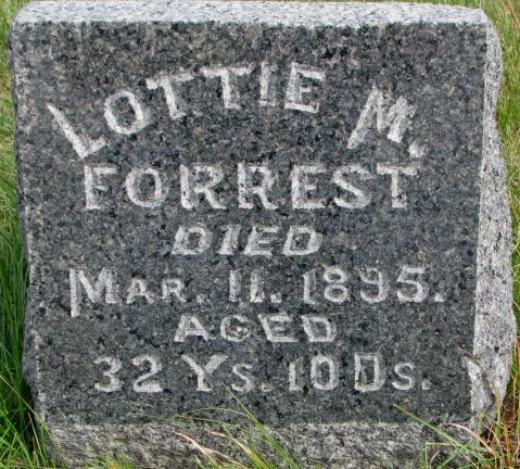 Forrest Lottie