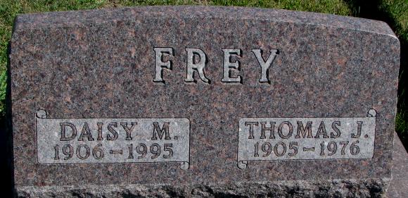 Frey Daisy &amp; Thomas