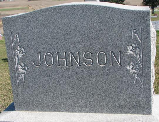 Johnson Plot