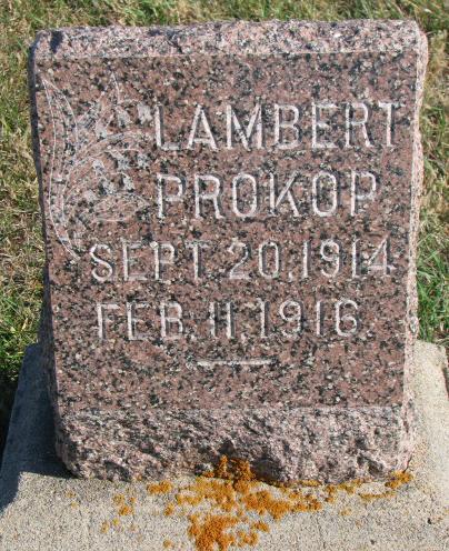 Prokop Lambert