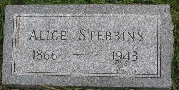 Stebbins Alice